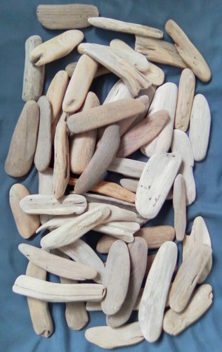 These flat driftwood - 50,