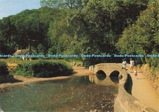 D280430 The Gallox Packhorse Bridge Judges C 11365