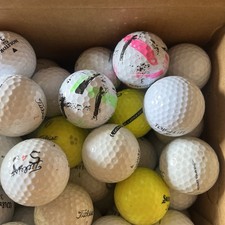 110 Range/ Hit Away/ Shag Golf