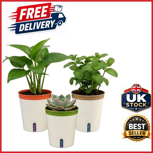 Pack self watering flower - 3,