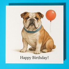 English Bulldog Dog Happy