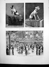 Old Antique Print British