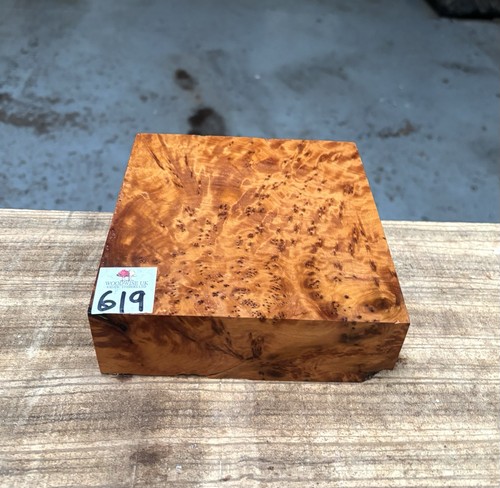 Thuya burr 6 x 2 - burr,