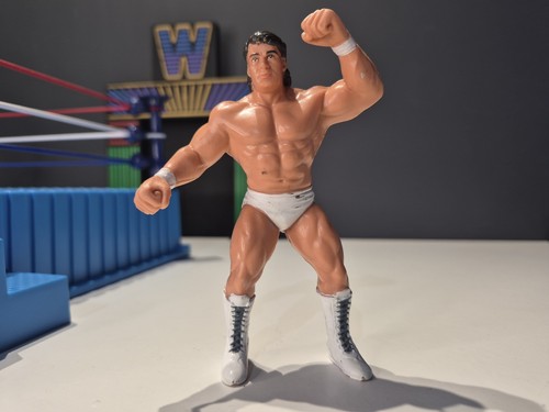 Wcw galoob tom - wcw,