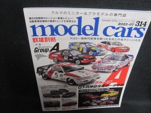 Model cars 2022 - 2022.7, group