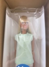 Petworks Today's momoko Doll