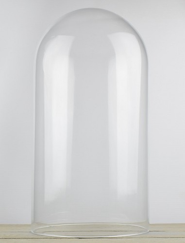 Large clear circular glass - large,