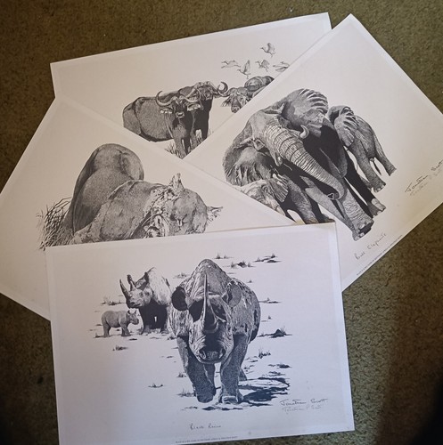 Set lithograph african - set, 4