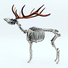 Red Deer Skeleton 1:18 scale