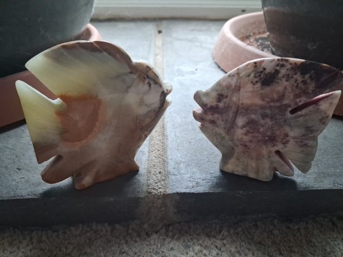 Pair onyx angel fish - angel,