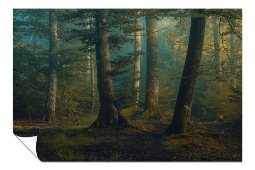 Early morning mysterious - early,