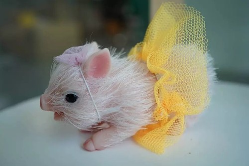 Silicone pig doll inch - silicone,
