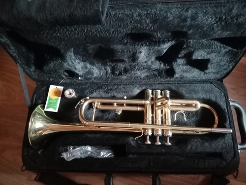Michael gold brass flat - brass,