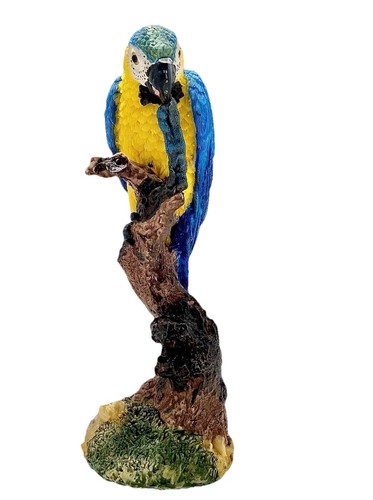 Blue yellow macaw - blue,