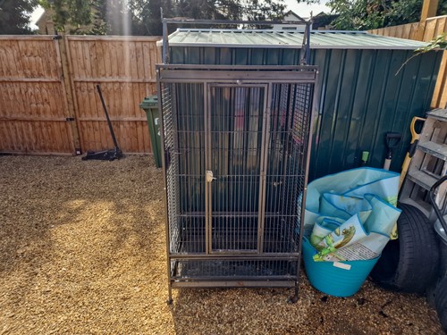 Liberta large parot - parot, cage