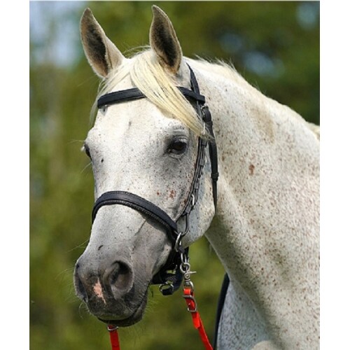 Zilco synthetic bitless bridle - synthetic,