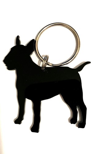 English bull terrier bullie - english,