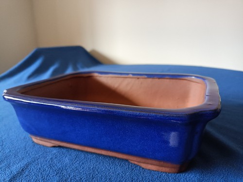 Blue glazed rectangular bonsai - glazed,