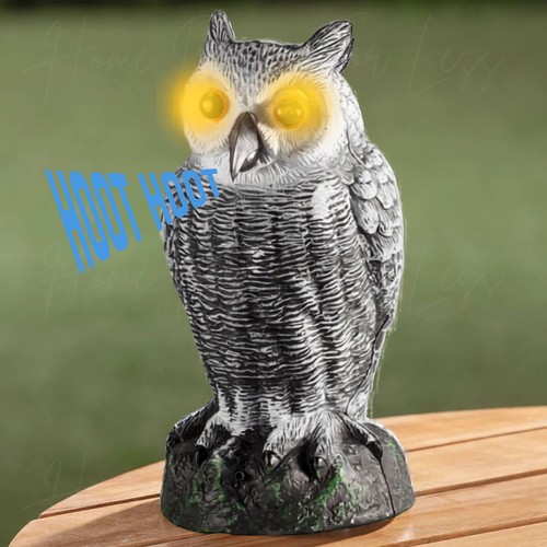 Motion activated light sound - activated, &