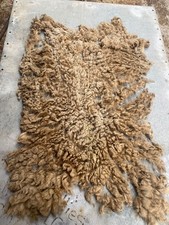 Norfolk Horn Raw Unwashed Sheep Fleece For Spinning, Felting, Weaving 0.75Kg