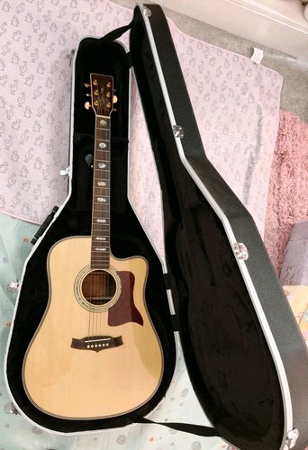 Tanglewood tw1000 sundance - ce,
