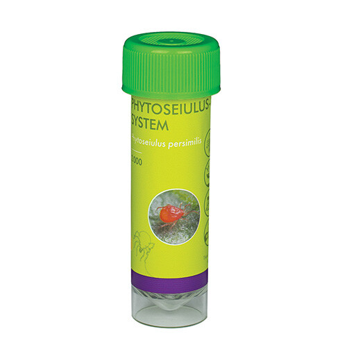 Two spotted spider mite killer - two-spotted,