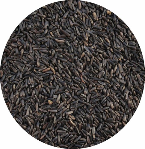 Niger nyger seed - nyger,