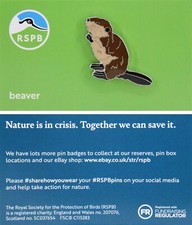 RSPB New Brand Beaver P02999