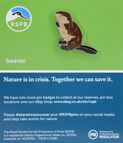 Rspb pin badge niic - rspb,