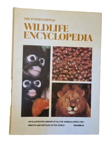 The international wildlife - the,