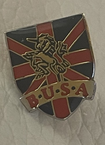 Vintage enamel pin badge - enamel,