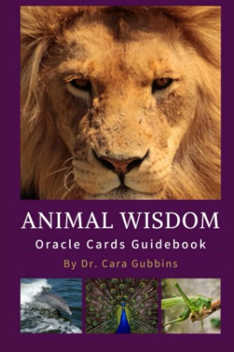 Animal wisdom oracle - oracle, cards