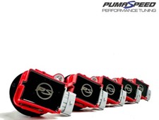 Focus ST225 and RS Mk2