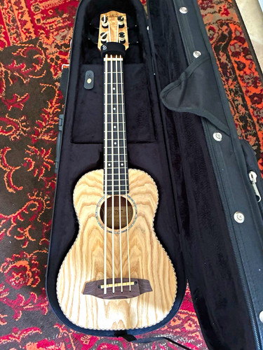 Freshman electro acoustic bass - electro-acoustic,