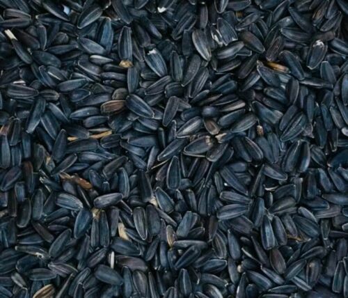 Trusty quality premium black - quality,