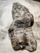 A Prepared Specimen Of Castleton Reef With Calcite Flourite Crystals Crinoids