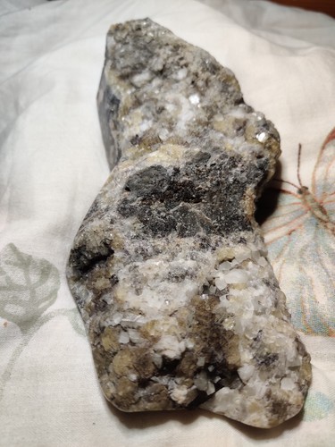 Prepared specimen of - a,