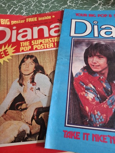 David cassidy the - david,