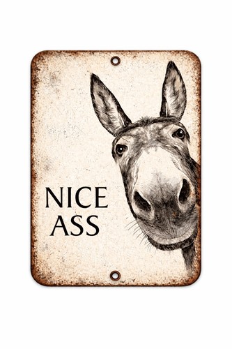 Nice ass donkey funny - ass,