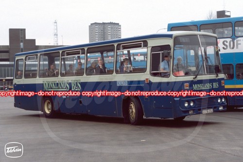Bus photo kelvin - photo,