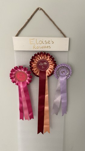 Horse dog rosette - dog,