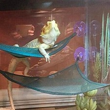 2Pcs Bearded Dragon Hammock