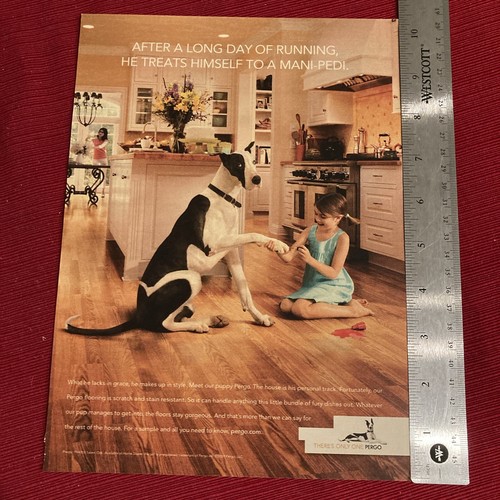 Great dane dog for pergo - great,