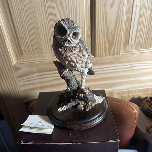 Country artists little owl - artists,