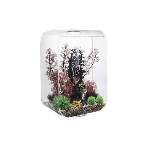 Biorb life aquarium with - life,