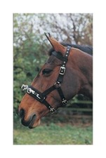 Hy Lunge Cavesson - Strong