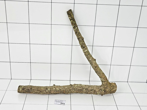 Natural cork wood branch - wood, for