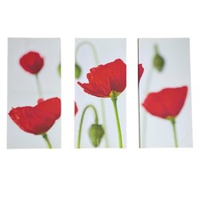 Framed Poppy Flower Wall Art