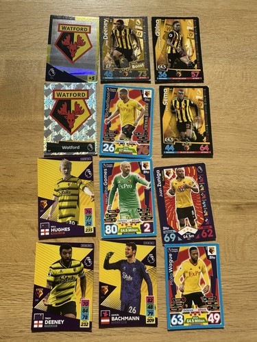 Watford match attax cards - watford,