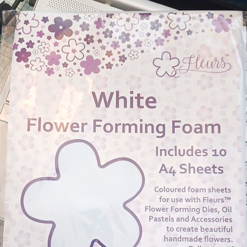 Fleurs white flower - fleurs,